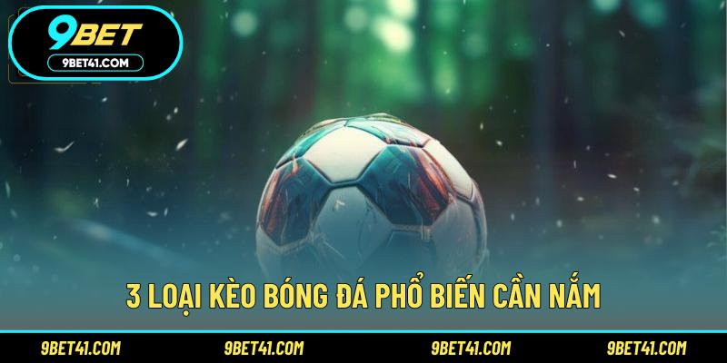 3 loại kèo bóng đá phổ biến cần nắm